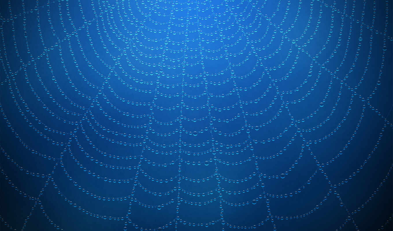 blue, blue, web, spiderweb, waterdrops